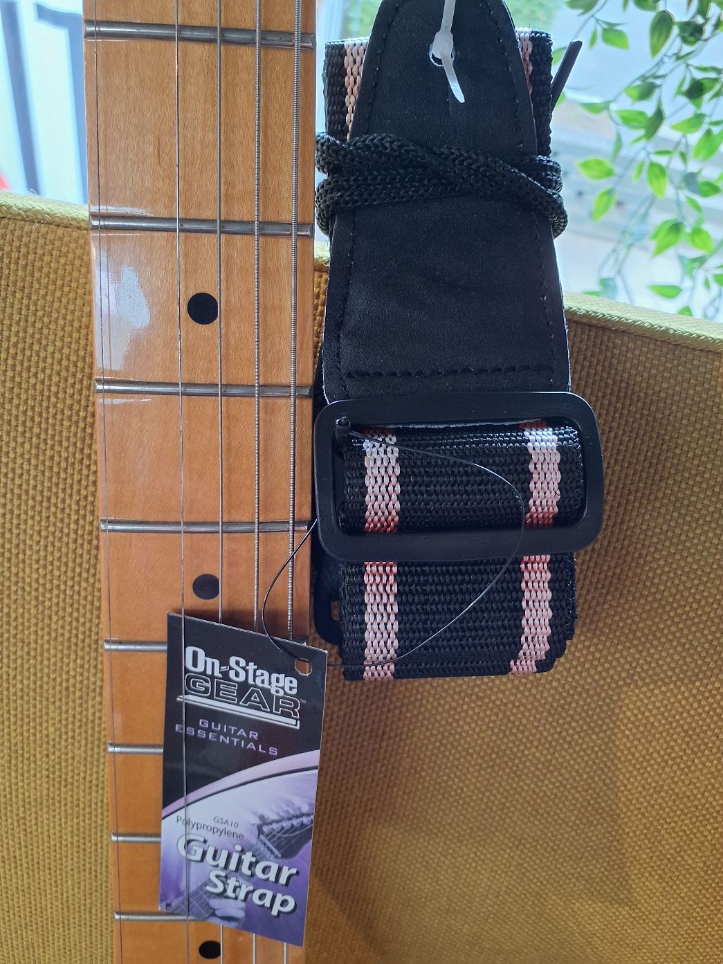 Guitar Fender Player